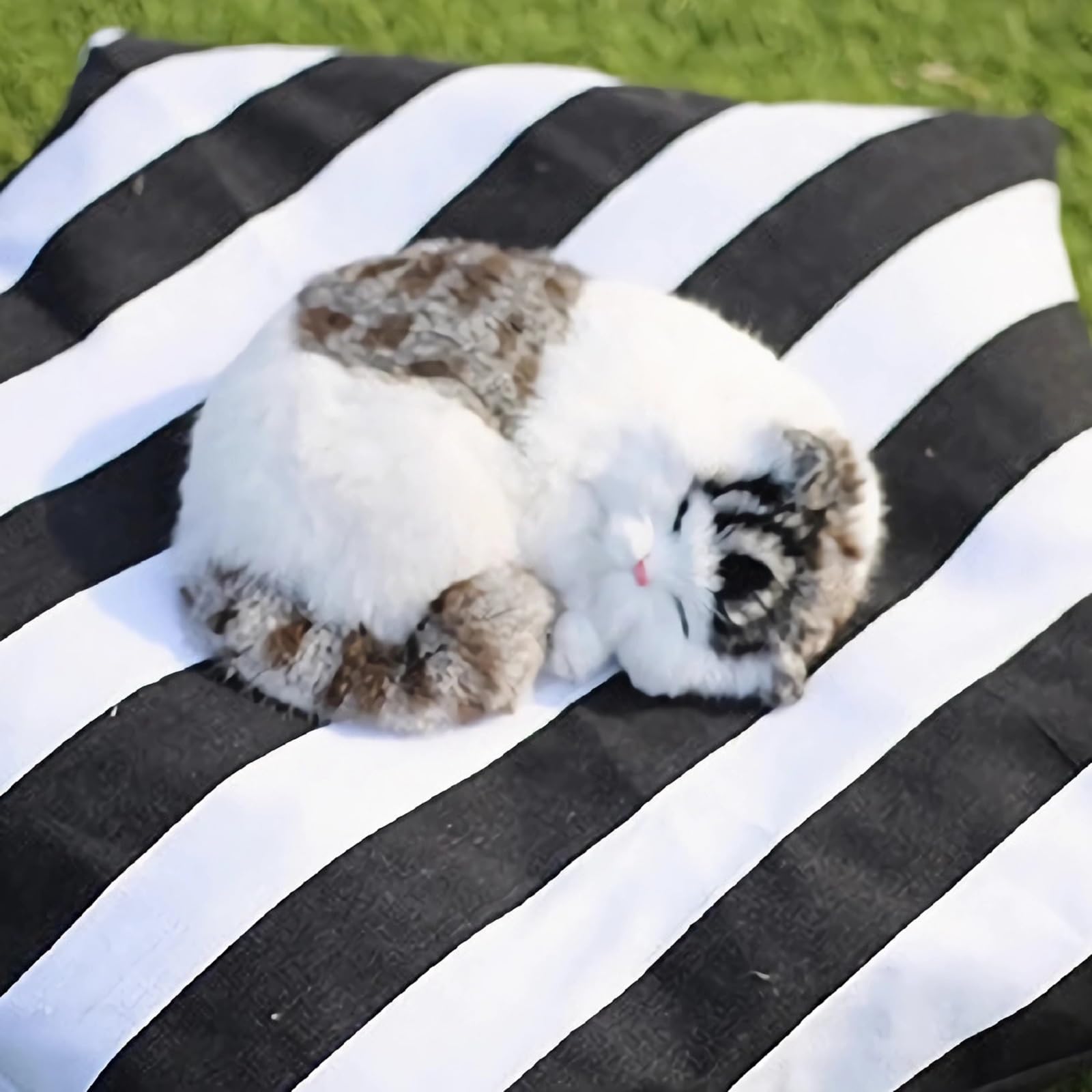 Cat Teepee Tent Bed cushion detail emphasizes soft padding for restful sleep