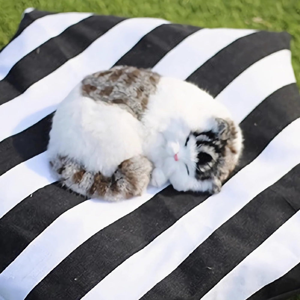 Cat Teepee Tent Bed cushion detail emphasizes soft padding for restful sleep