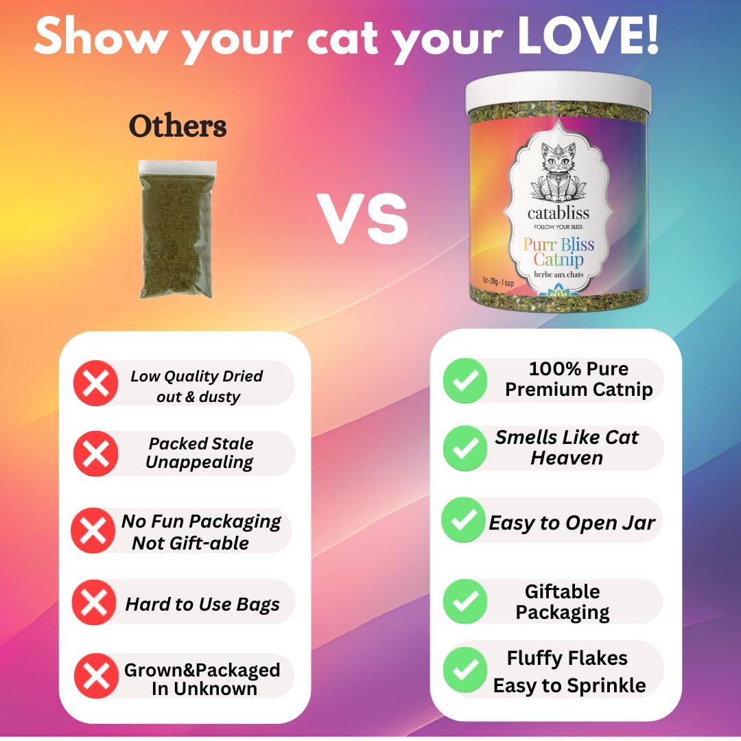 Catabliss refillable toy with catnip invites curious exploration and activity.