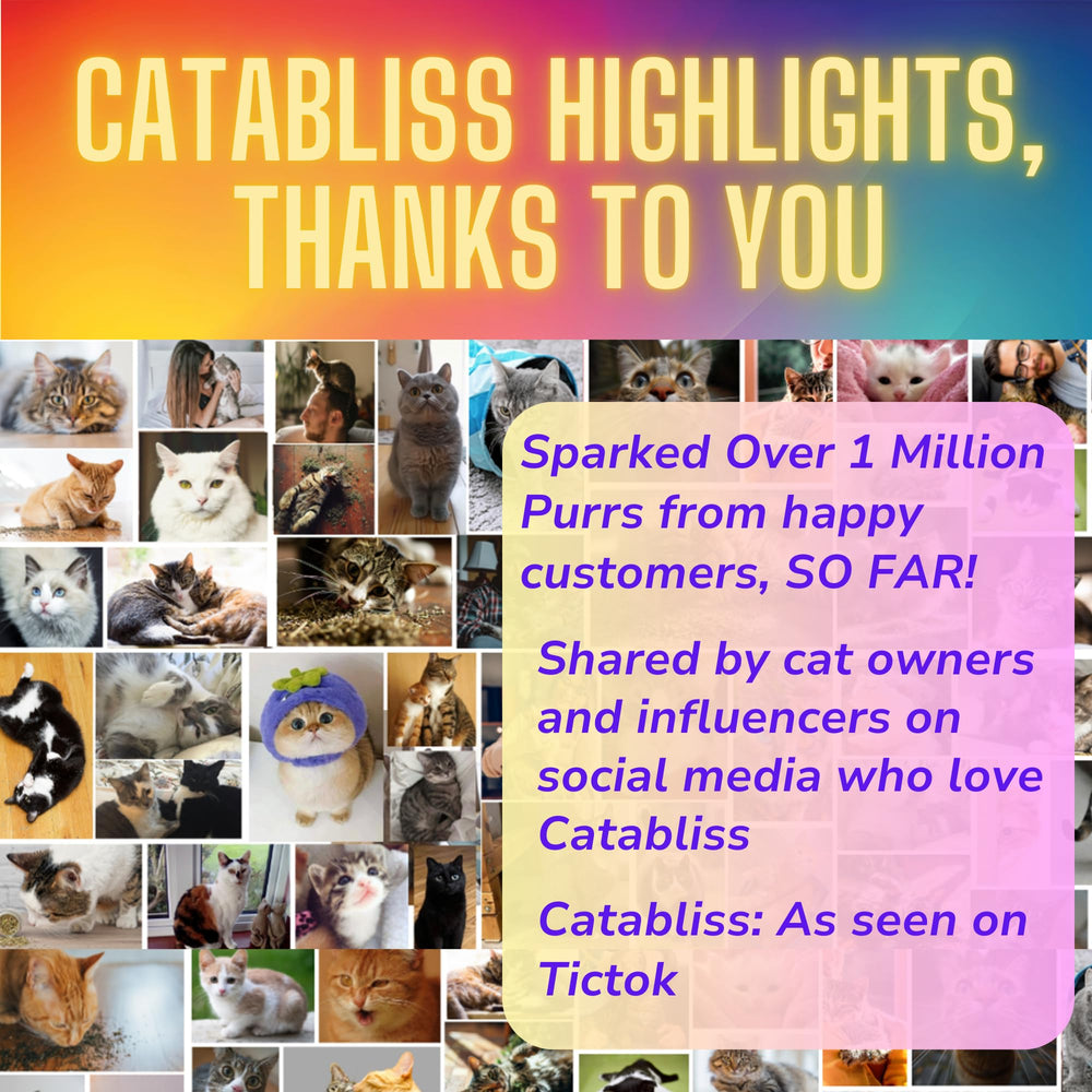 Catabliss catnip on scratch post invites scratching and playful interaction.