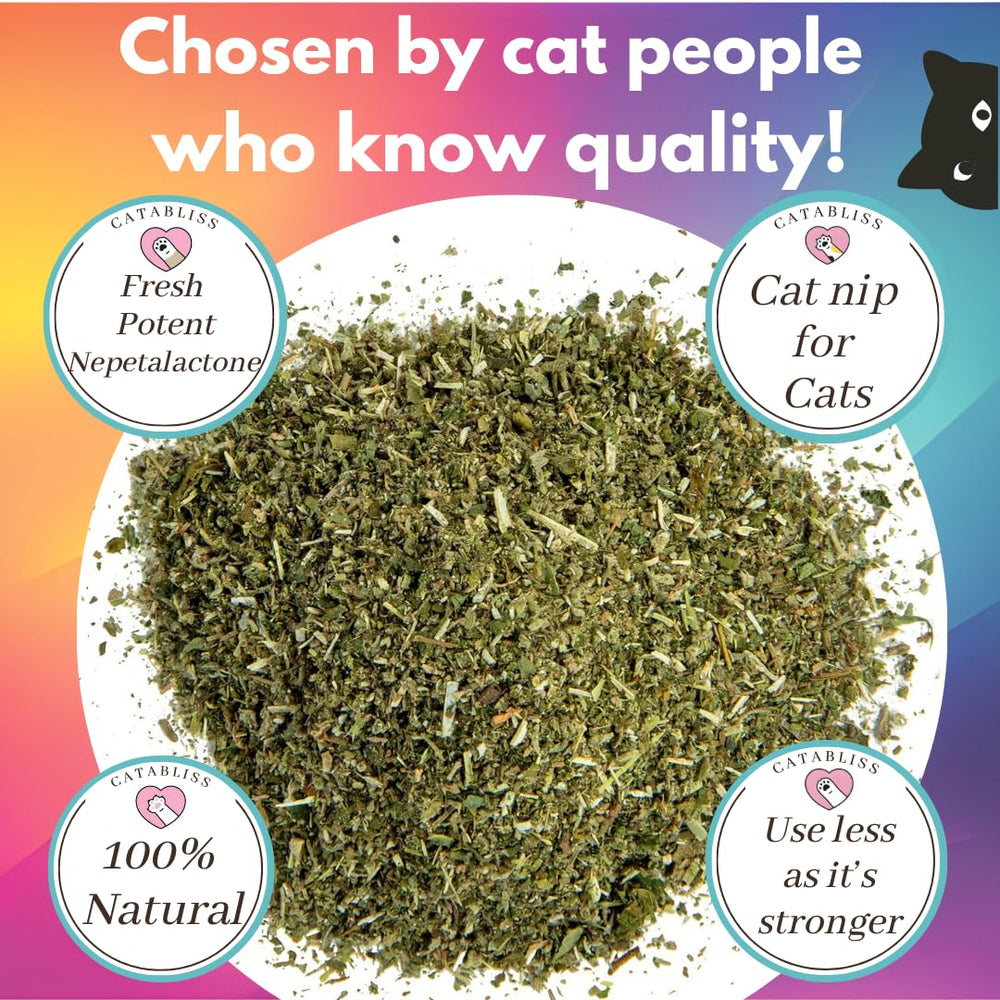 Catabliss catnip toy sprinkle helps transform ordinary toys into engaging play.