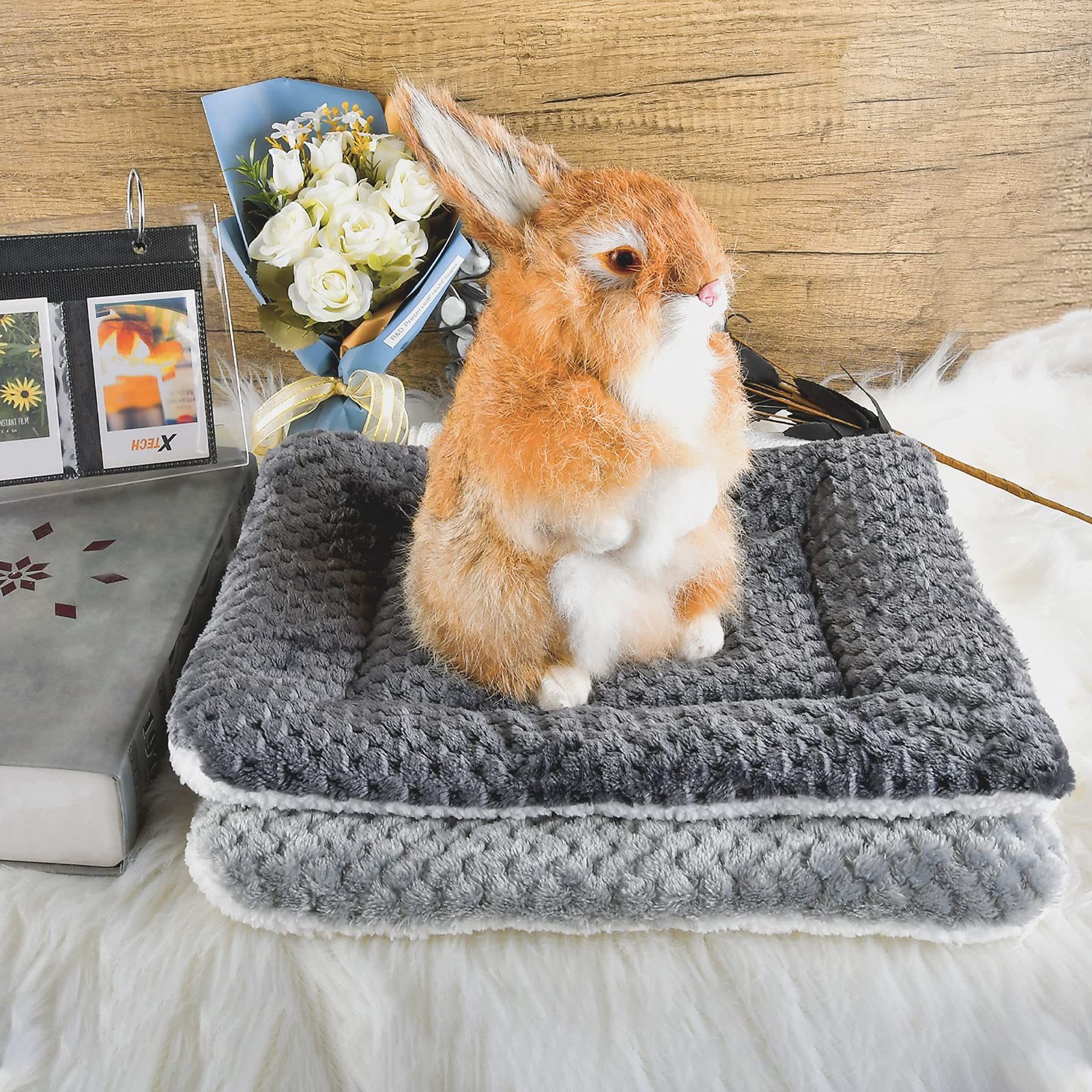 Catadog bed mat easy-care for busy pet owners
