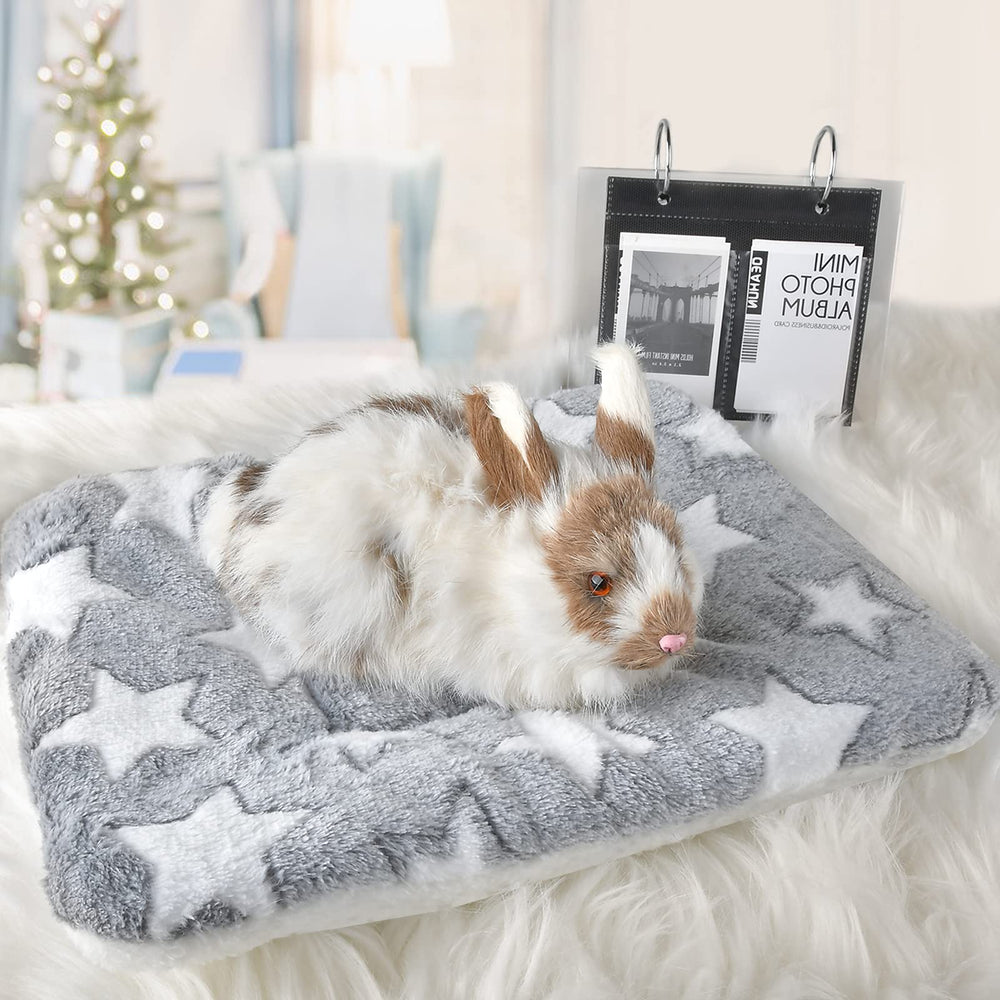 Catadog bed mat XL size 13.7x10.6 inches for larger pets