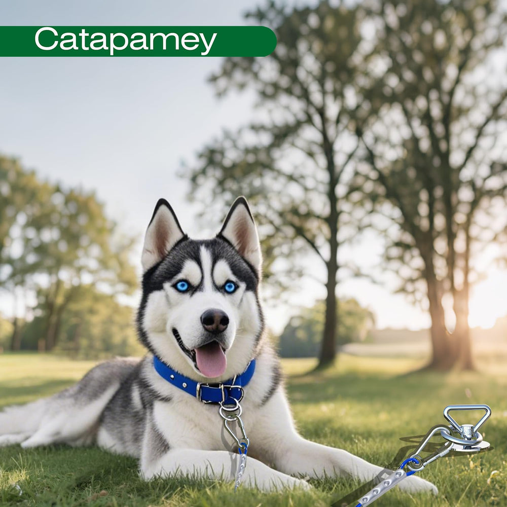 Catapamey 30-day trial offer with responsive support.