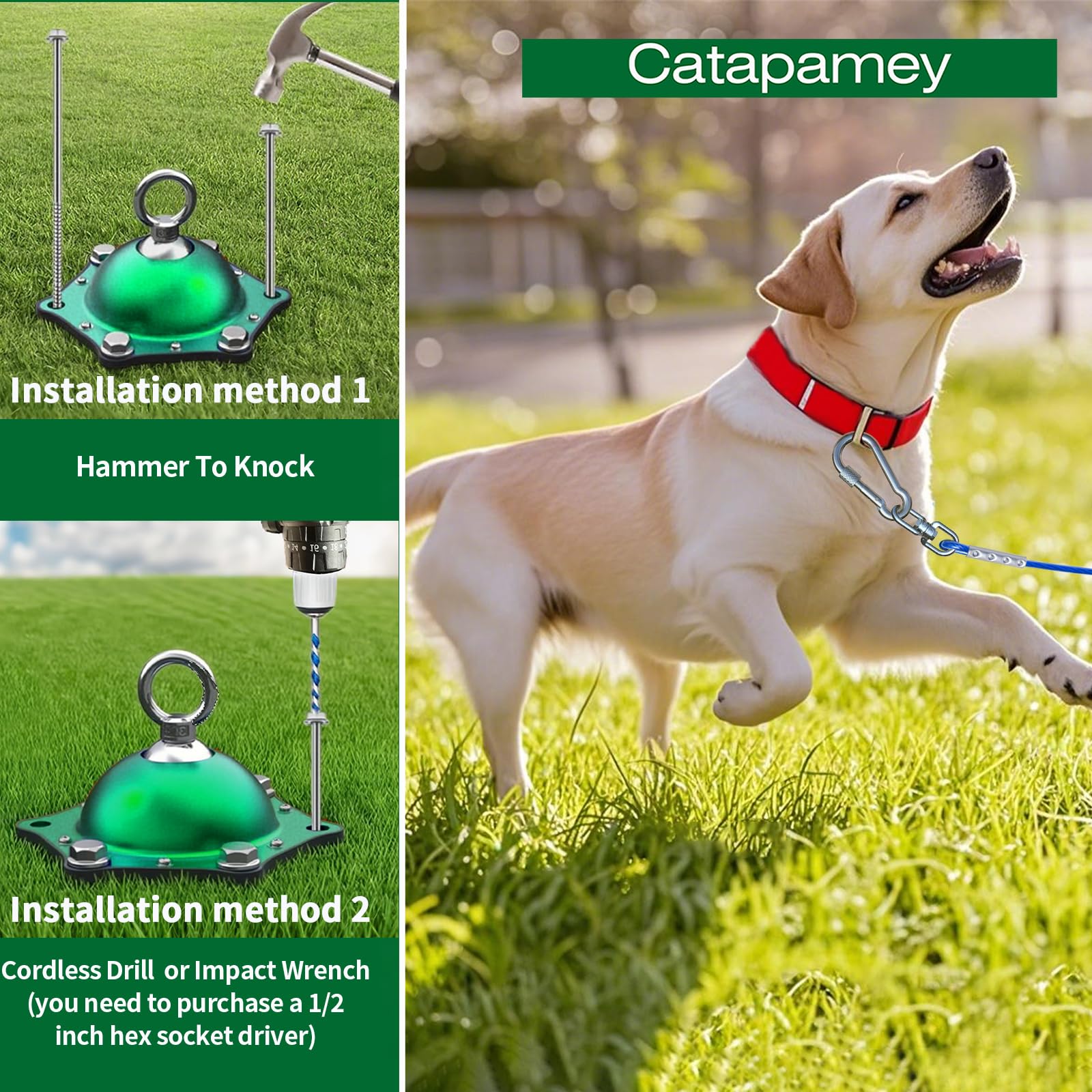 Catapamey easy-install stake helps secure your dog in minutes outdoors.