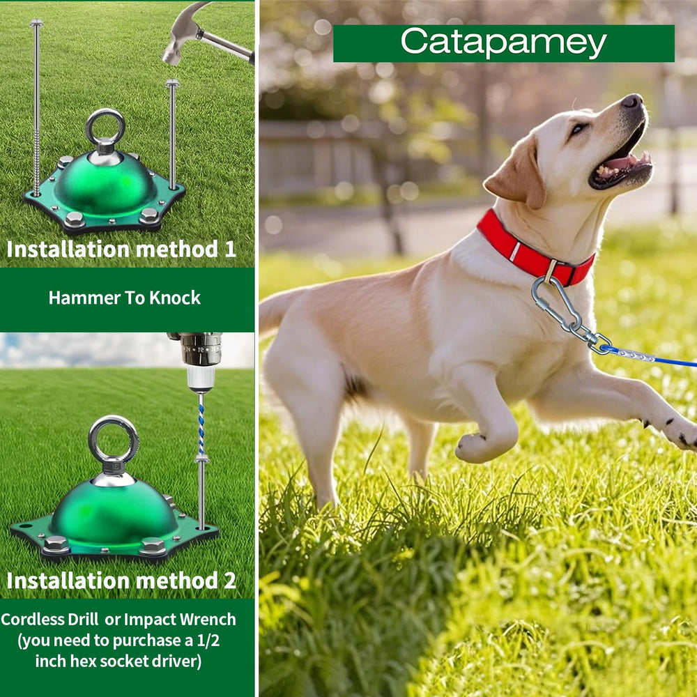 Catapamey easy-install stake helps secure your dog in minutes outdoors.