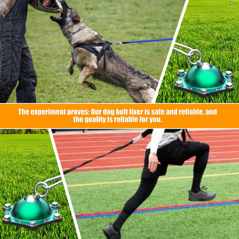 Catapamey heavy-duty tie-out kit offers reliable backyard containment.
