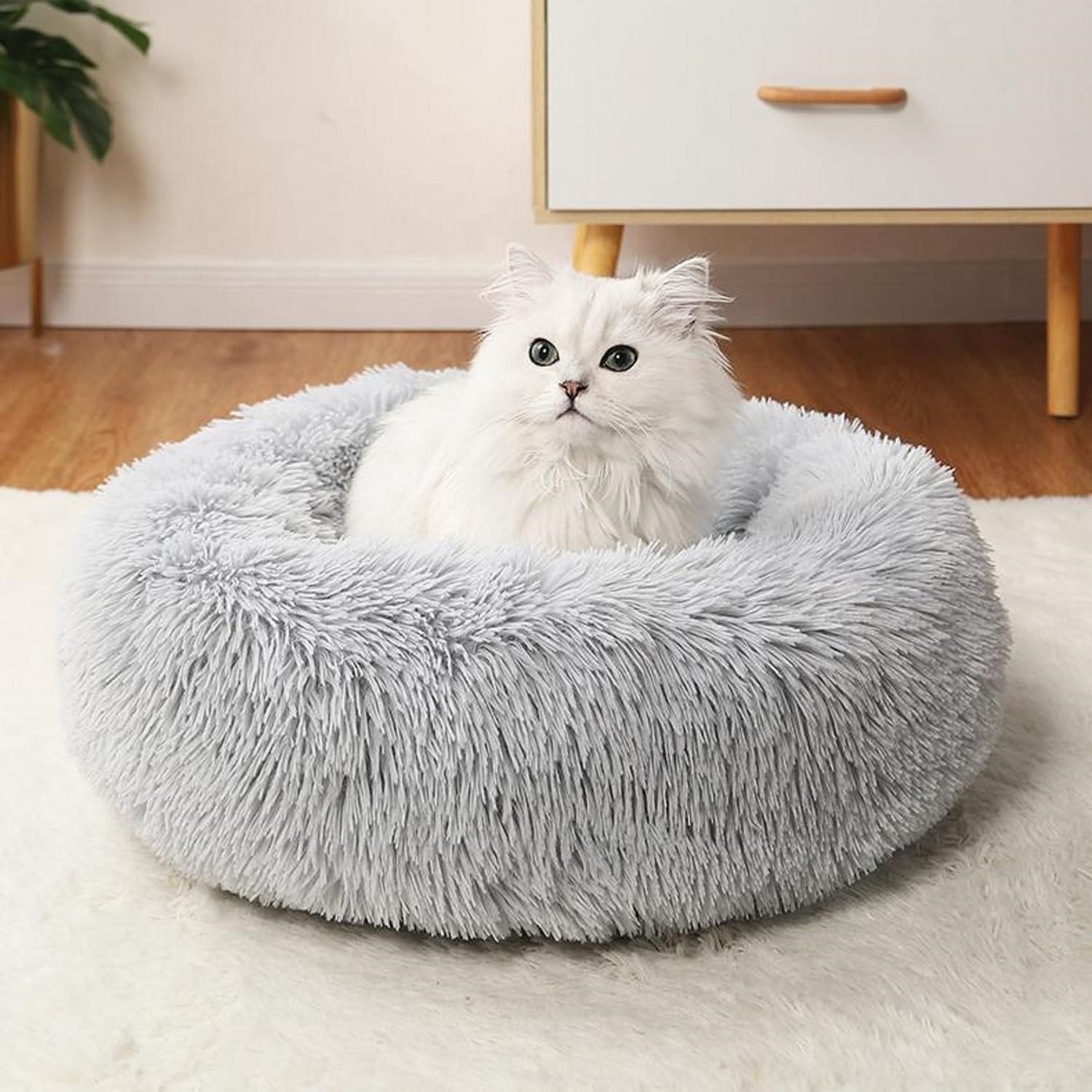 CatBed round bed in use with head and neck support.