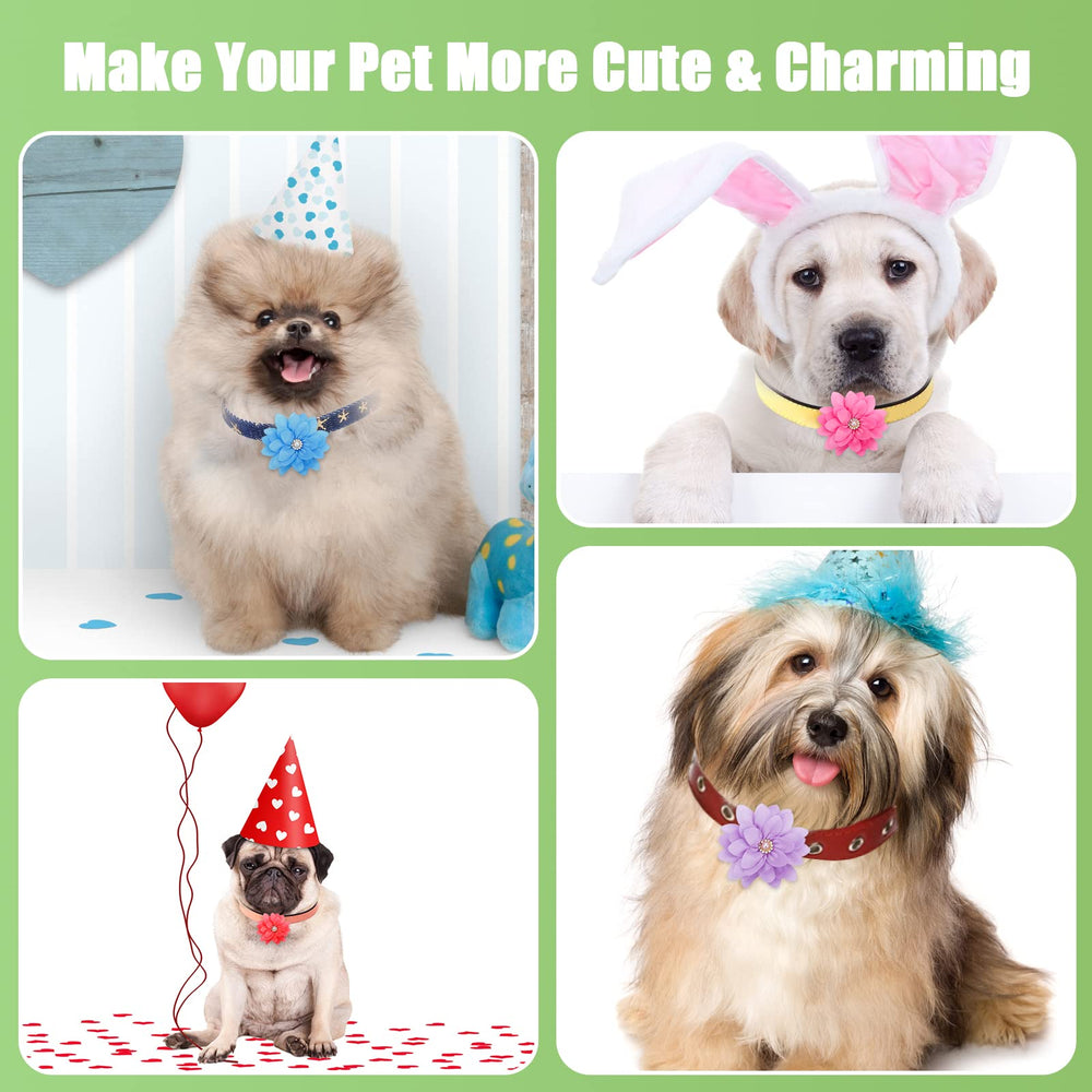 Catcan dog flower collar color-palette offers diverse styling options
