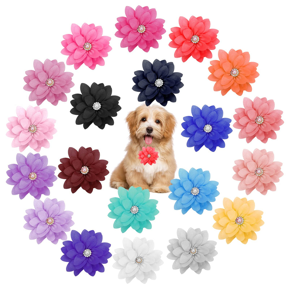 Catcan dog flower collar front view with vibrant colors for daily wear