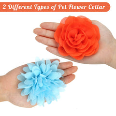 Catcan soft chiffon dog bow emphasizes light comfortable wear.