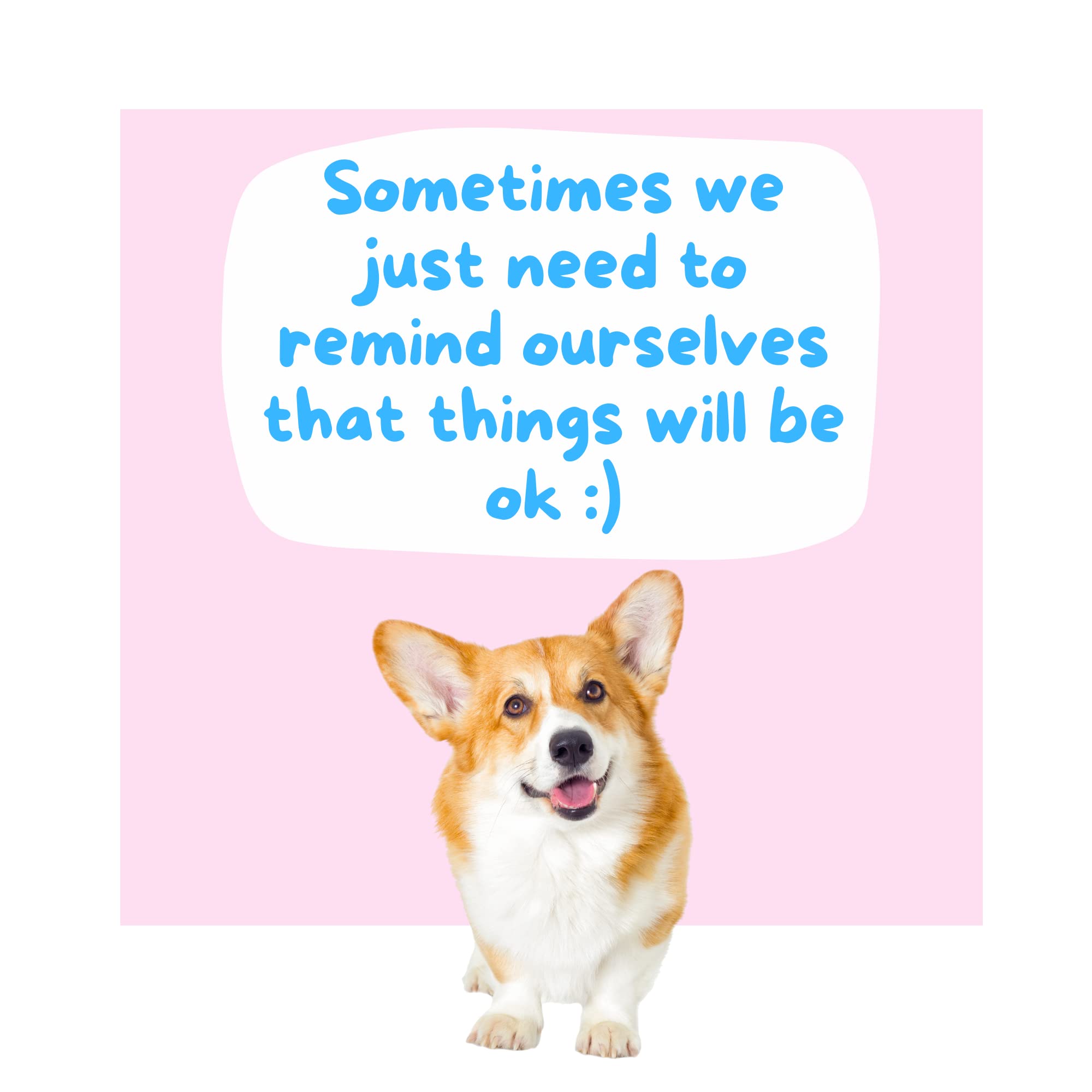 CatchYourDreams Dogs Against Anxiety Gift Set—thoughtful stress-relief present for loved ones.