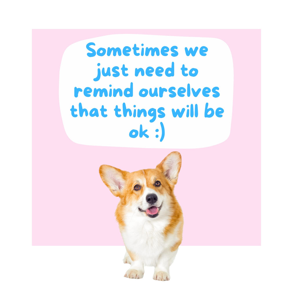 CatchYourDreams Dogs Against Anxiety Gift Set—thoughtful stress-relief present for loved ones.