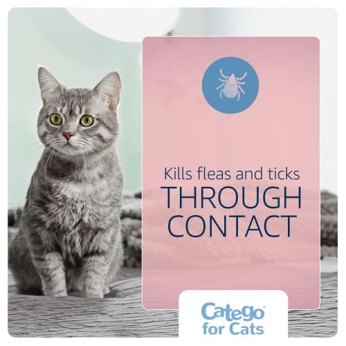 Catego for Cats works for indoor and outdoor cats.
