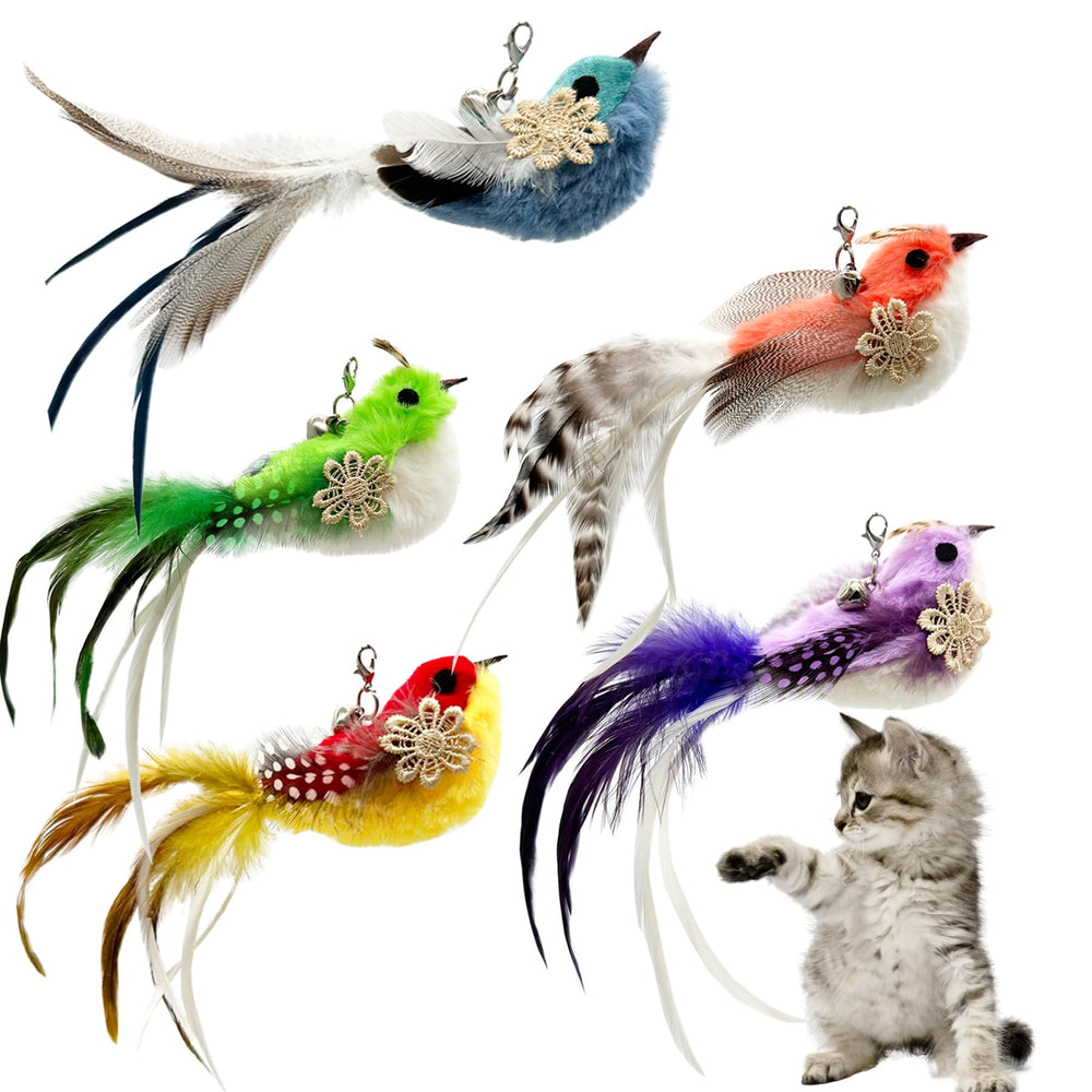 CATENEED cat feather toy refill pack keeps playtime fresh for indoor cats