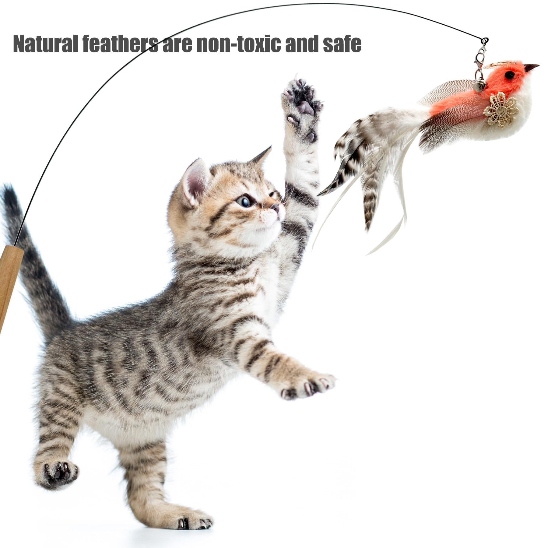 CATENEED wand attachments with feathers for dynamic chasing sessions