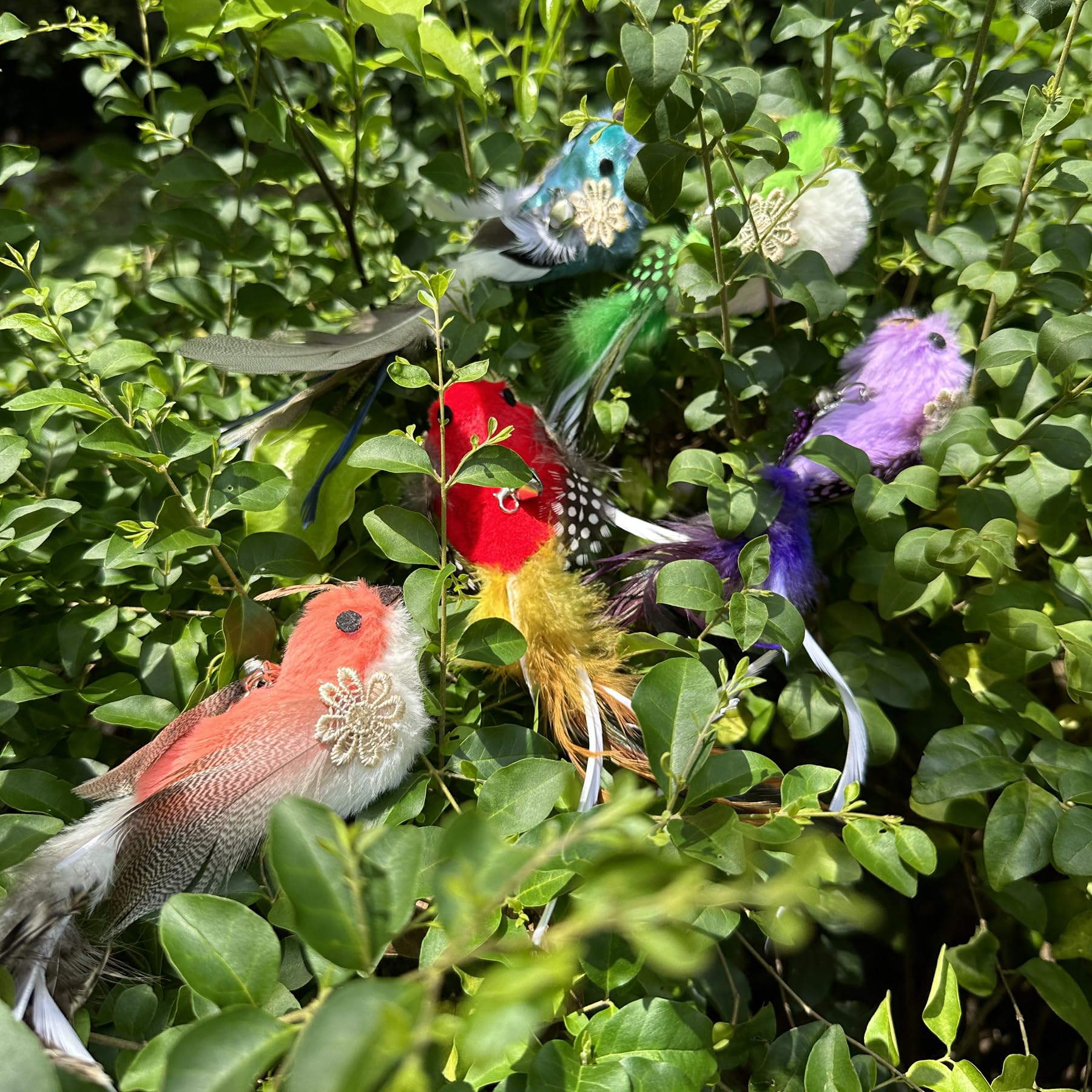 CATENEED indoor play enrichment encourages active hunting-style play