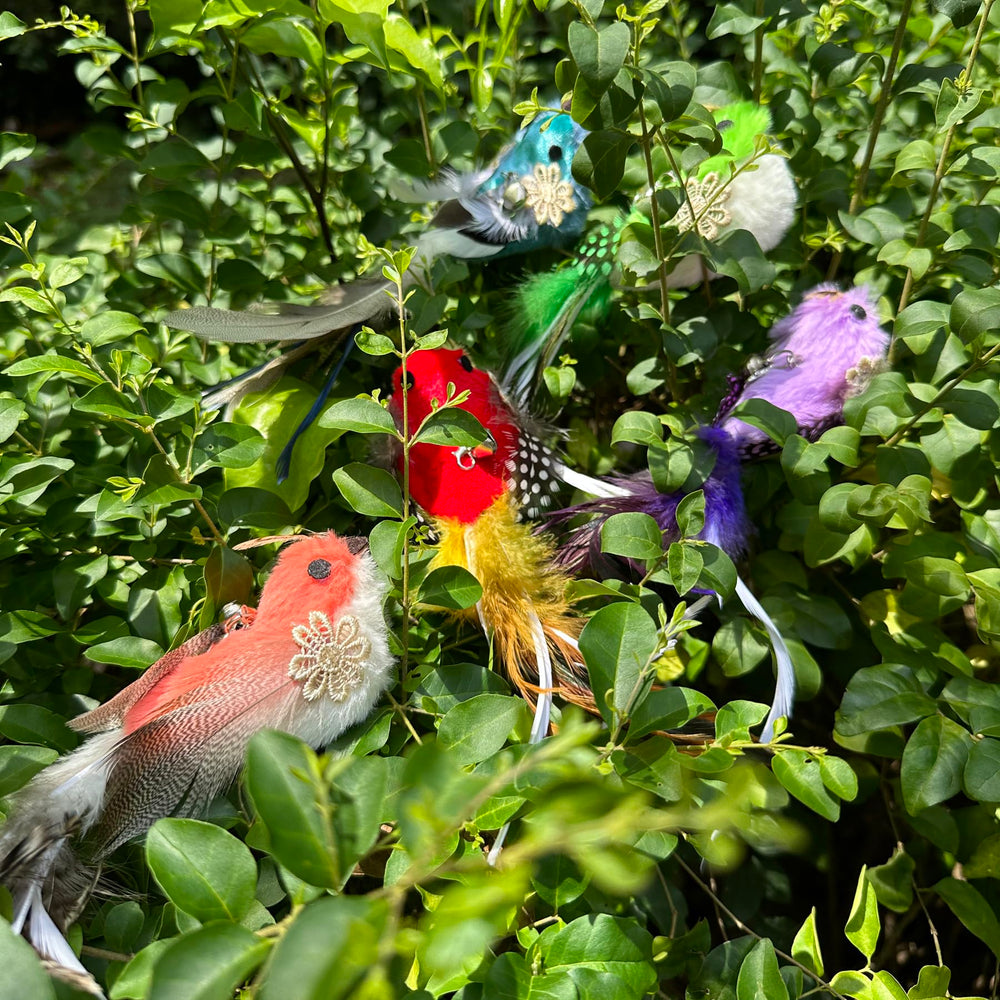 CATENEED indoor play enrichment encourages active hunting-style play