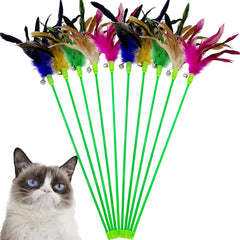 CATENEED Interactive cat wand feather toy – bright colors engage indoor play with a chirpy bell.