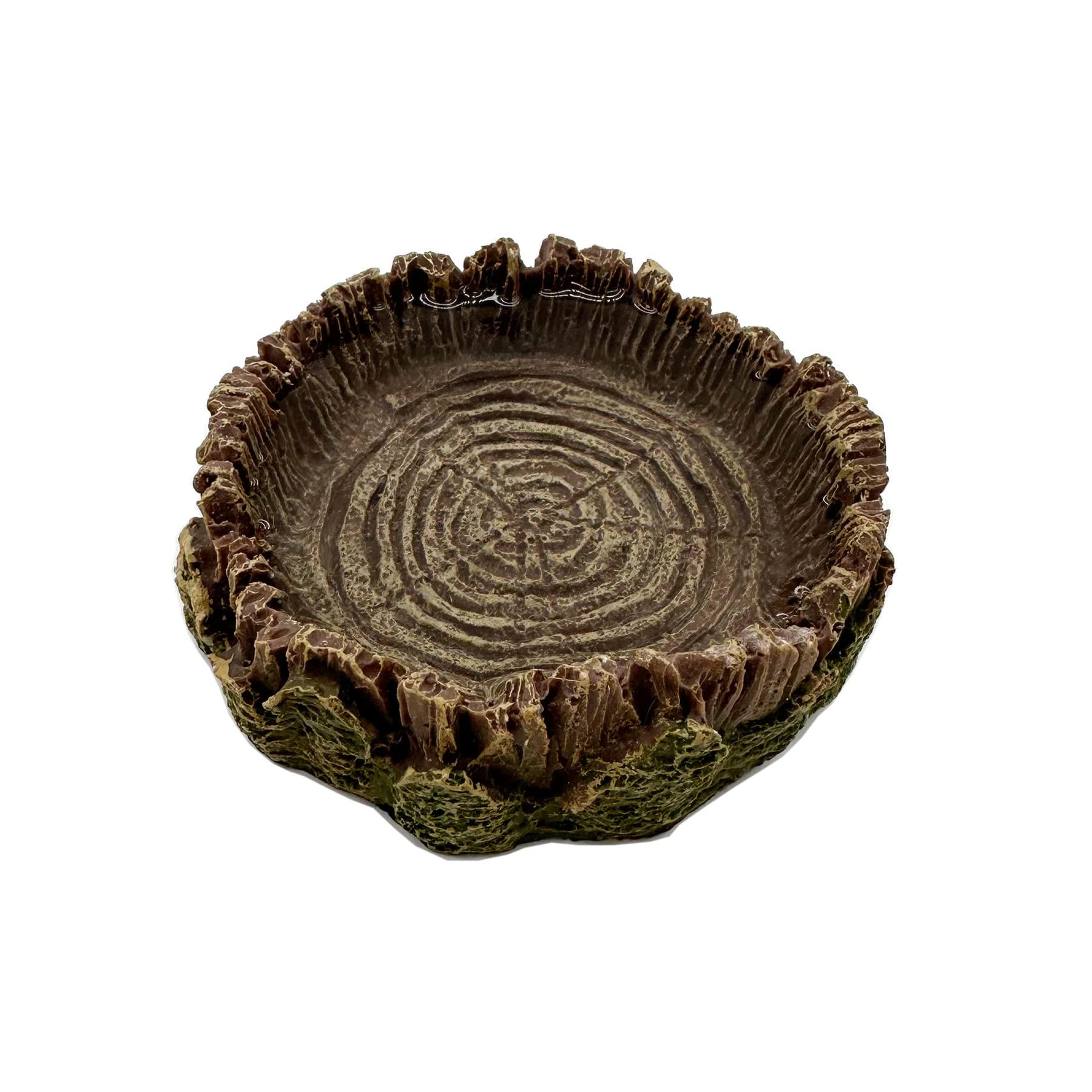 CATENEED resin reptile bowls feature easy-clean surfaces for quick maintenance