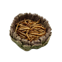 CATENEED rock-inspired feeder blends with tropical jungle desert habitats