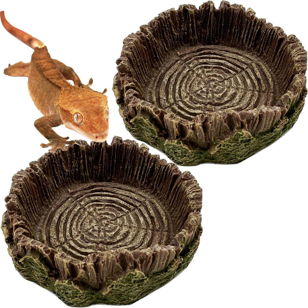 CATENEED small reptile food dish with rock texture enhances natural terrarium decor and feeding