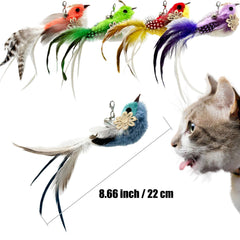 CATENEED soft plush feather bird toy delivers tactile play experience