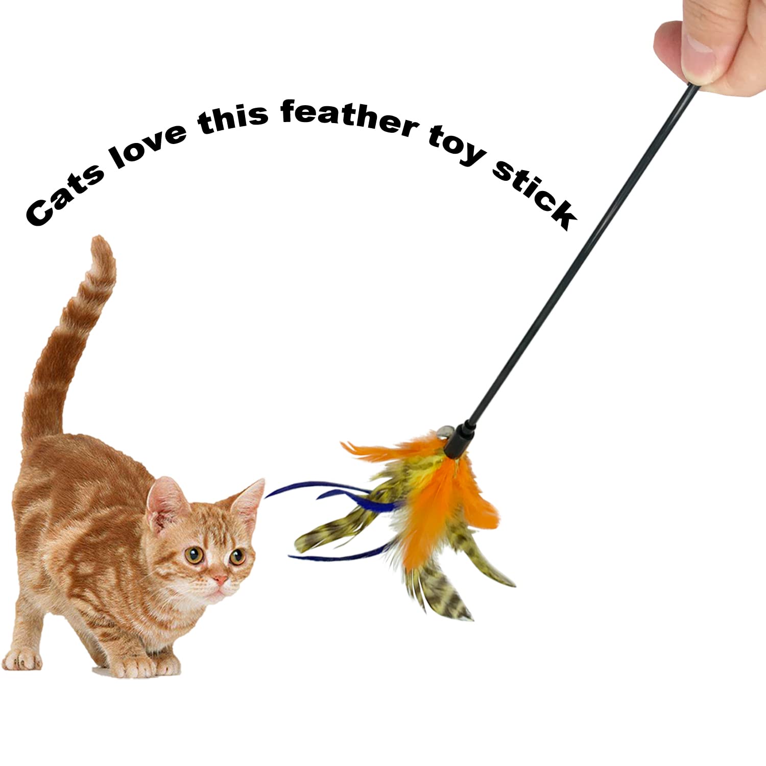 CATENESS cat wand toy size 50cm for comfortable reach during play sessions.