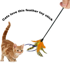 CATENESS cat wand toy size 50cm for comfortable reach during play sessions.
