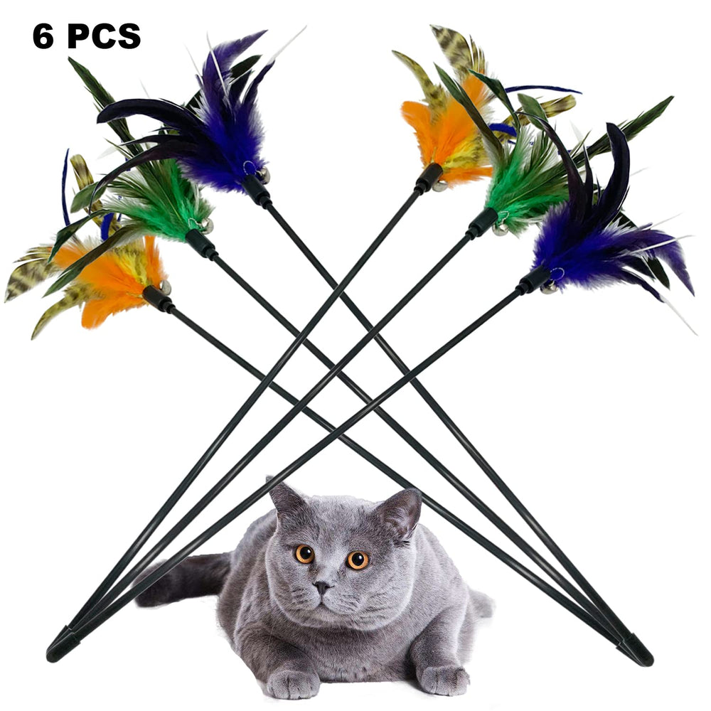 CATENESS cat wand toy supervision reminder encourages safe playtime with pets.
