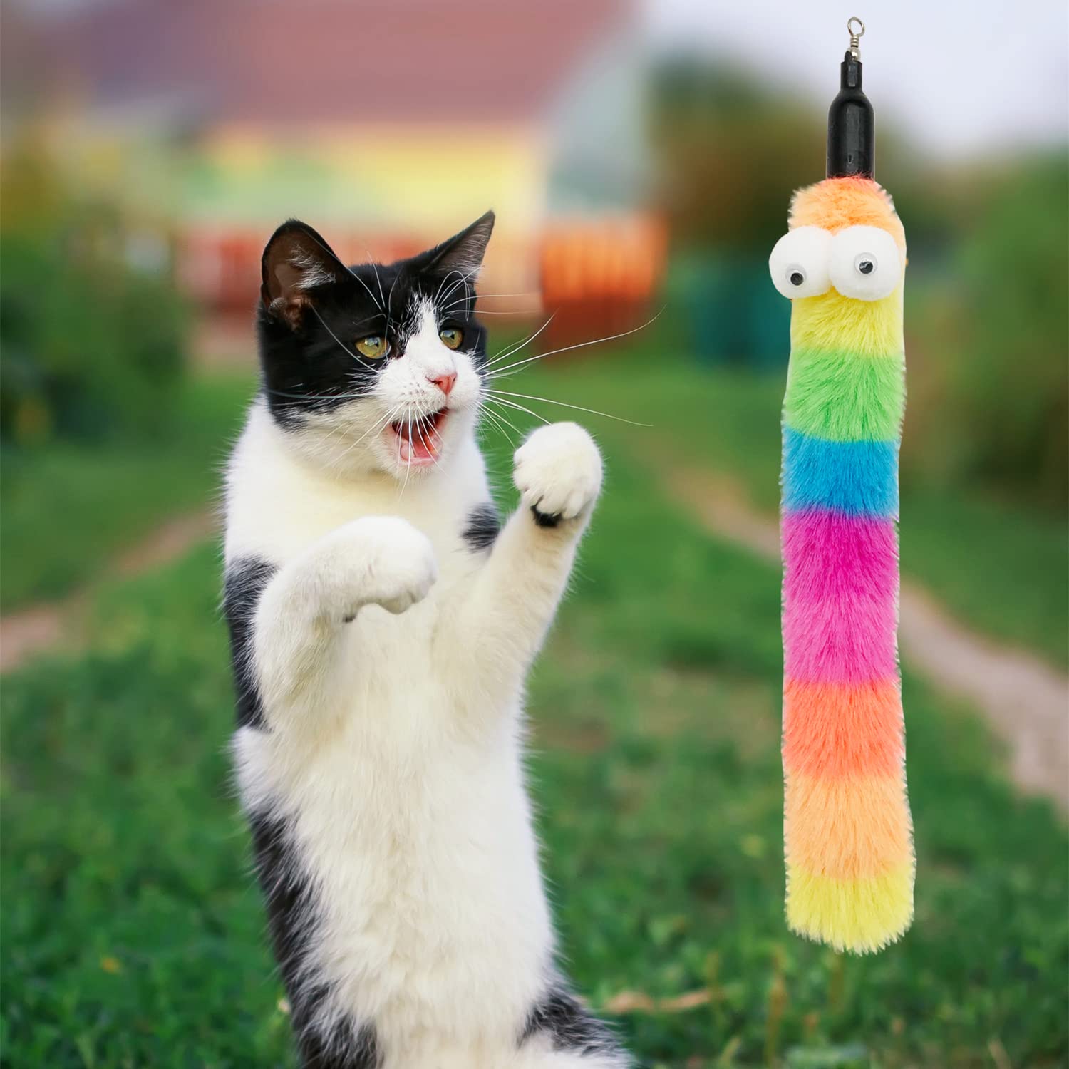 CATENESS indoor cat playtime setup sparks exercise and bonding