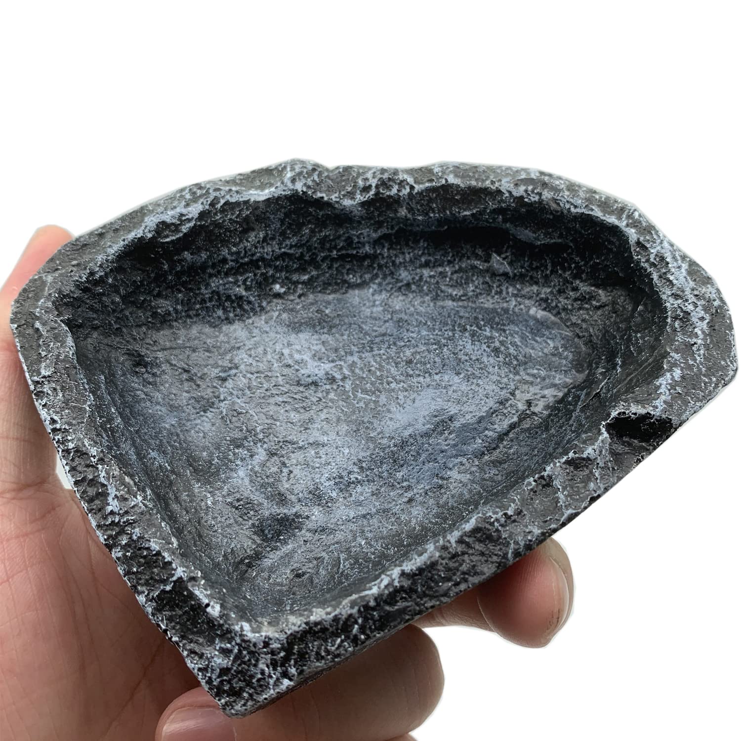 Catenness bearded dragon enclosure bowl designed for compact setups