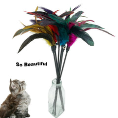 CATENESS Cat Wand Toy feather stick with bell demonstrates hunting-inspired exercise