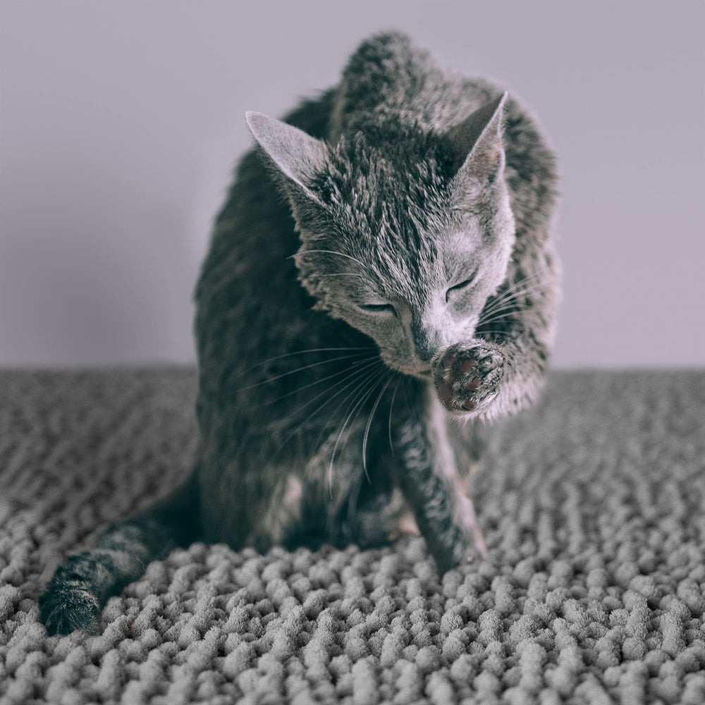 CatGuru Cat Litter Mat folds and shakes for quick litter removal