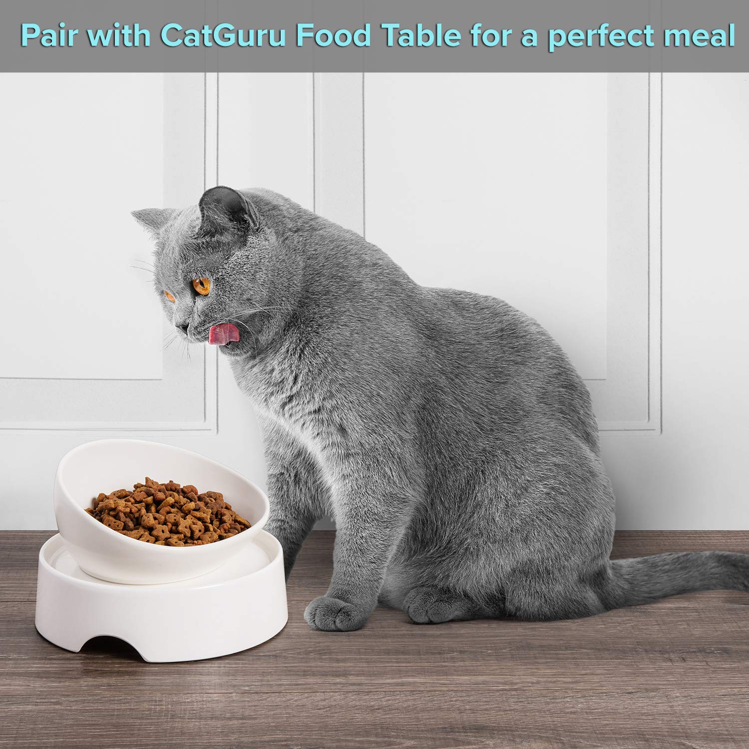 CatGuru dishwasher and microwave safe bowl simplifies daily cleaning and warming.