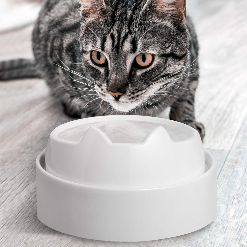 CatGuru dishwasher-safe cat bowl Marshmallow cleans quickly after meals