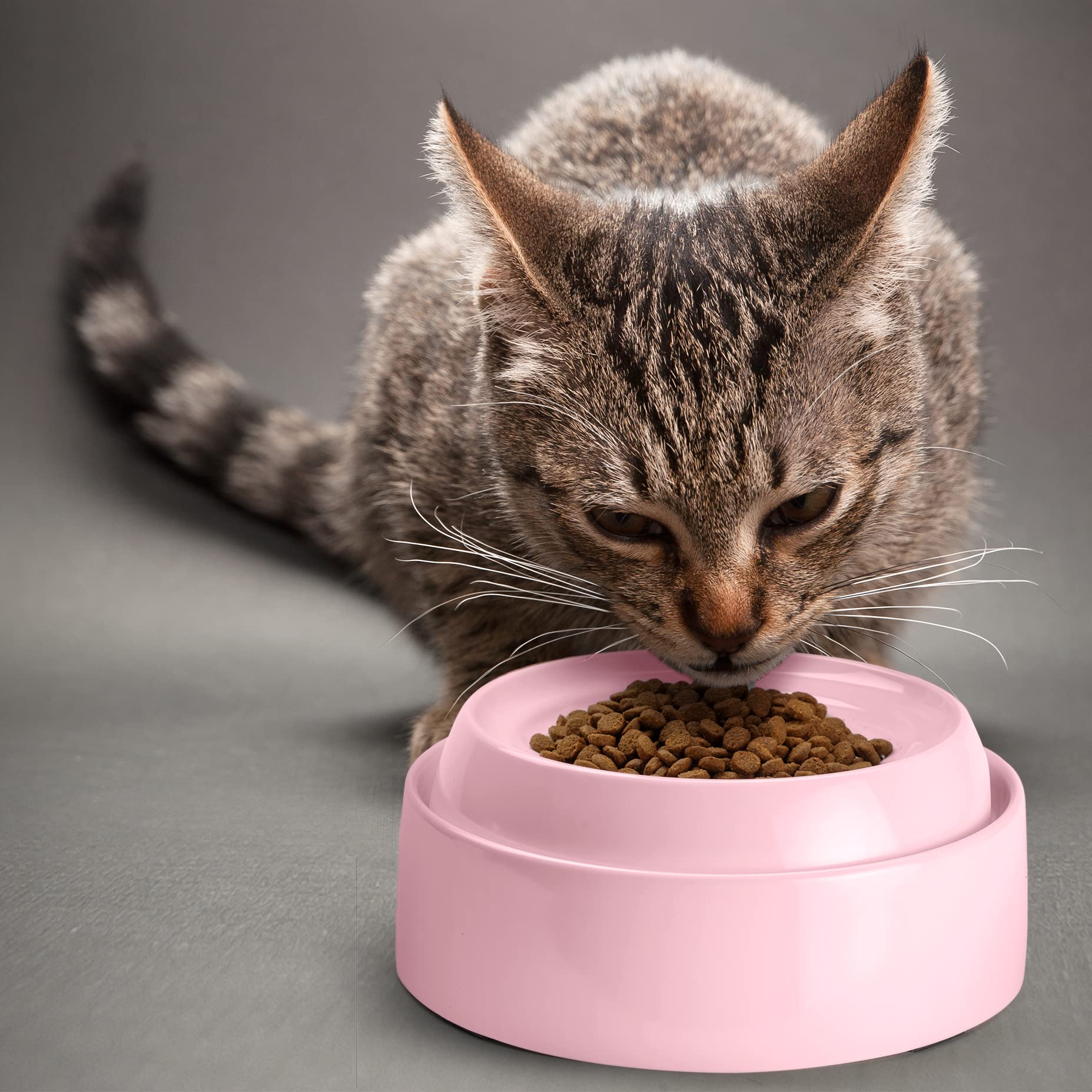 CatGuru dishwasher-safe pink cat bowls simplify after-meal cleanup