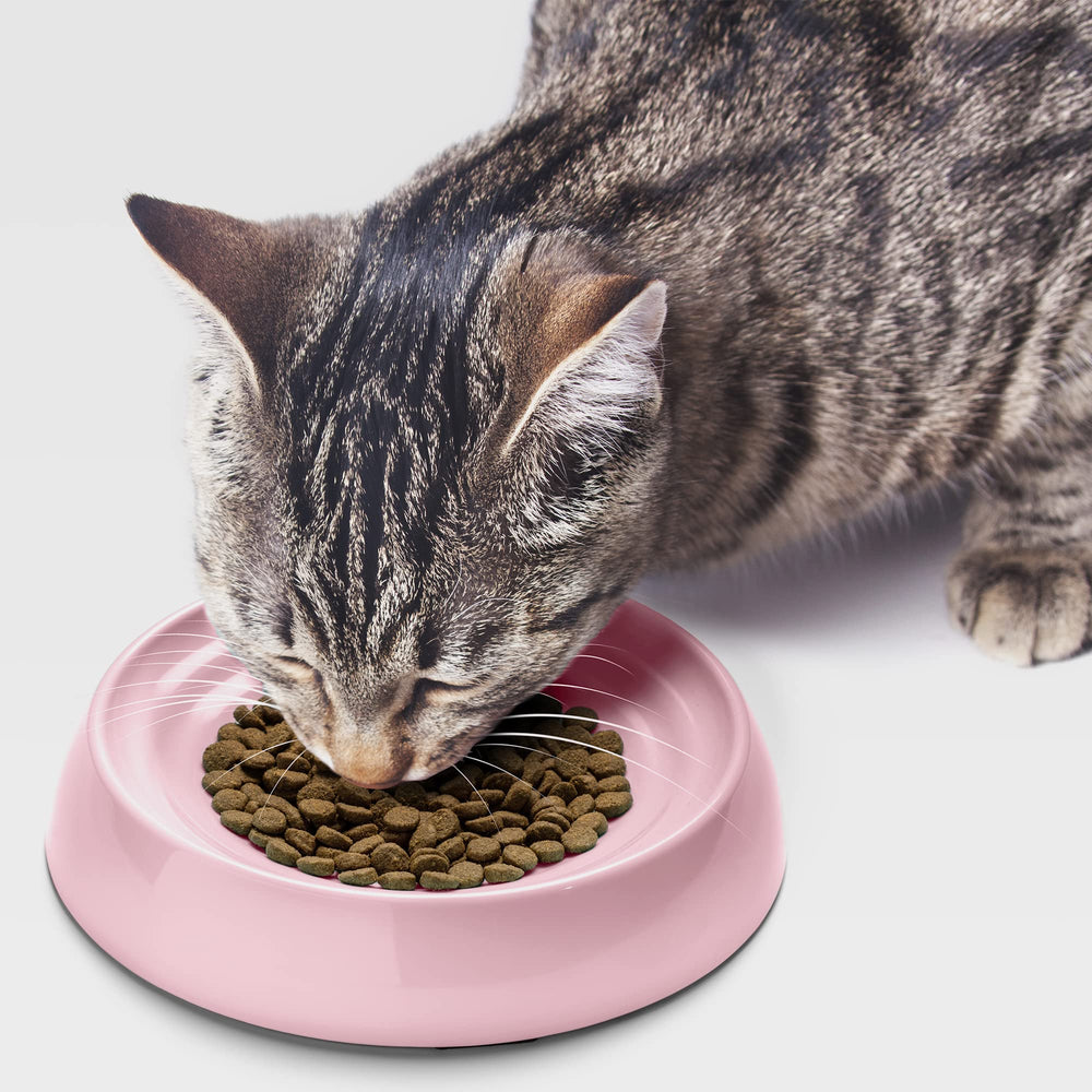 CatGuru set of two pink bowls suitable for kittens or multiple cats