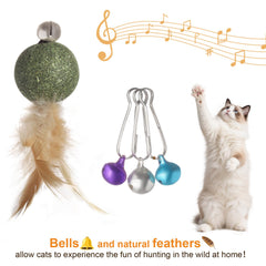 Caticalife elastic rope extended reach supports safe chasing.