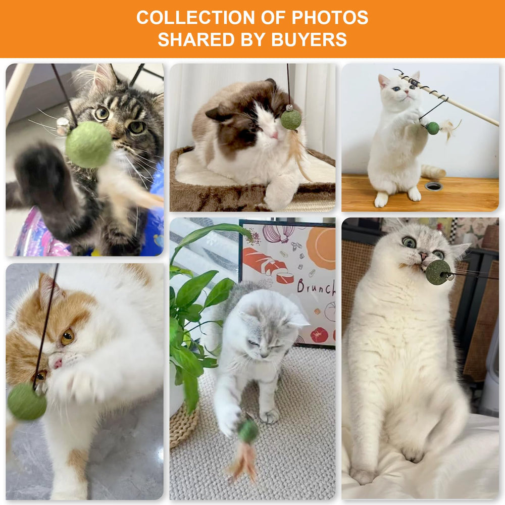 Caticalife cat teaser promotes jumping, pouncing, and focused play.
