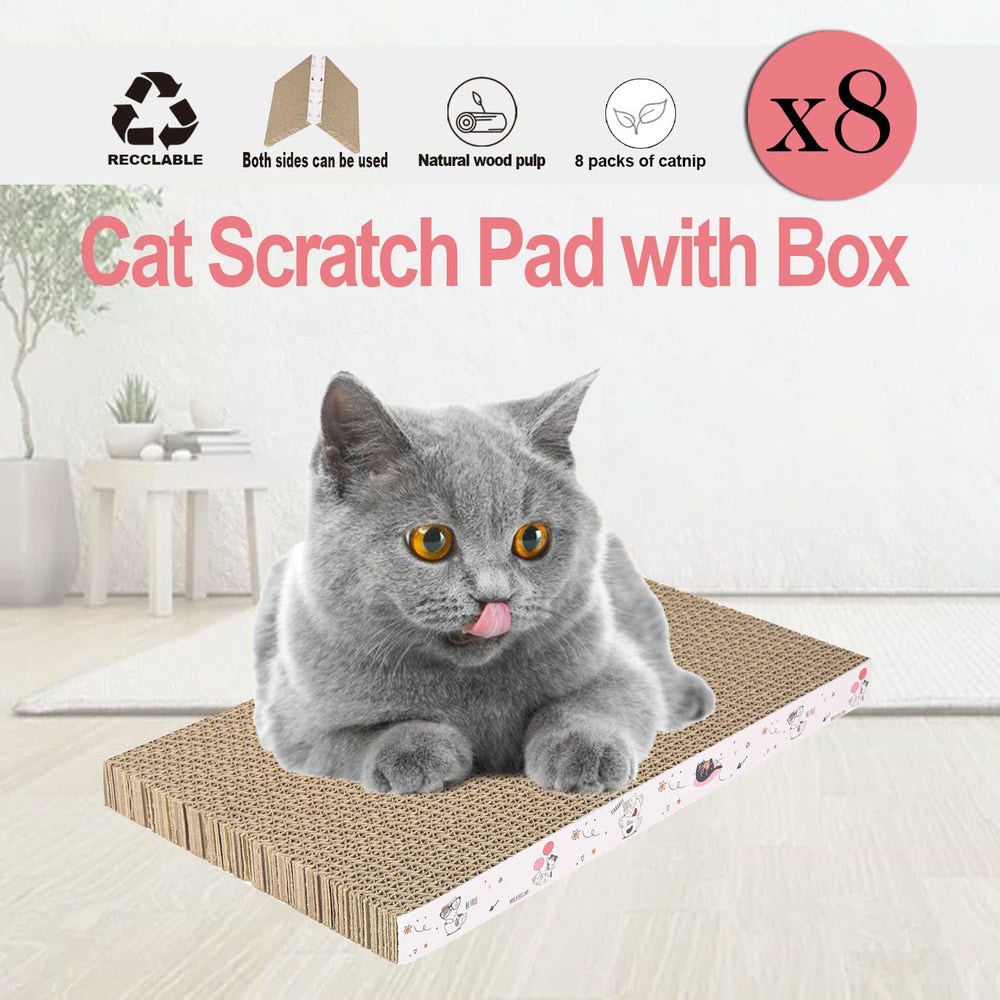 Catinarla recyclable packaging supports eco-conscious purchase