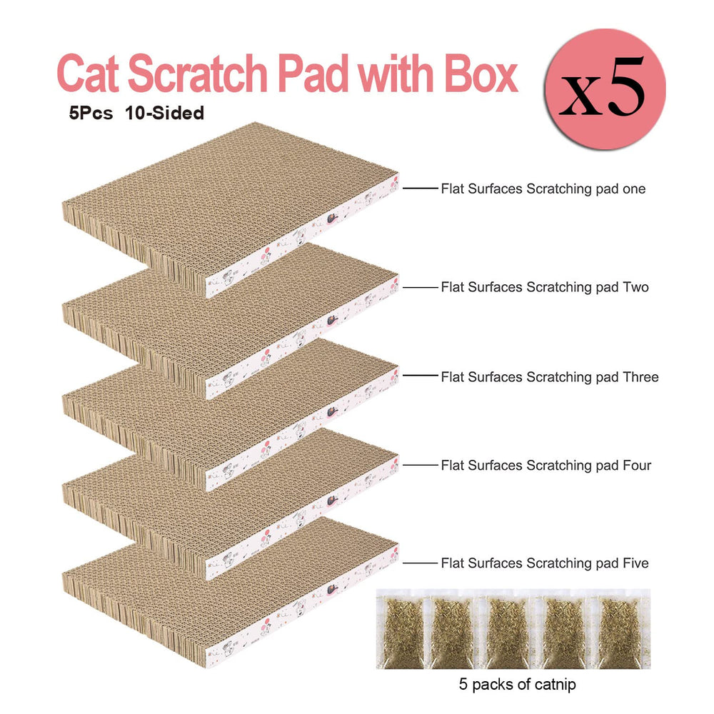 Catinarla reversible scratch pad shows two faces for extended play sessions.