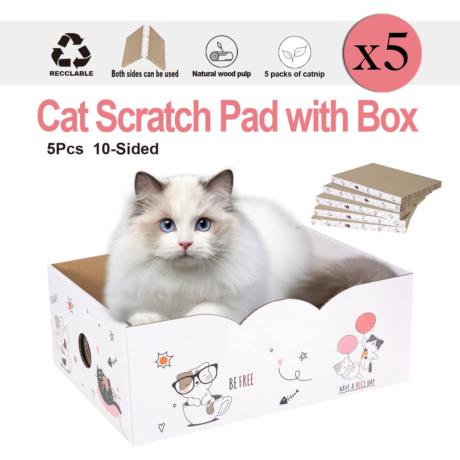 Catinarla scratch box demonstrates organized setup for multi-pad use.