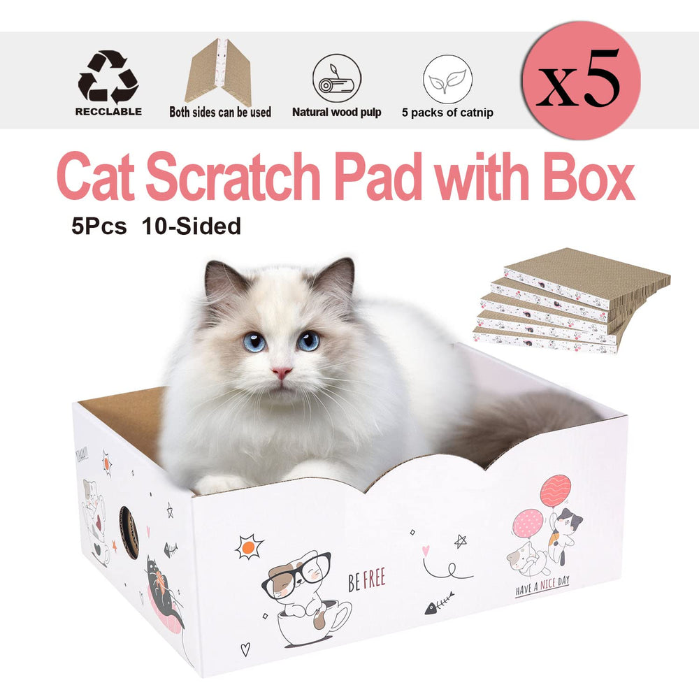 Catinarla scratch box demonstrates organized setup for multi-pad use.