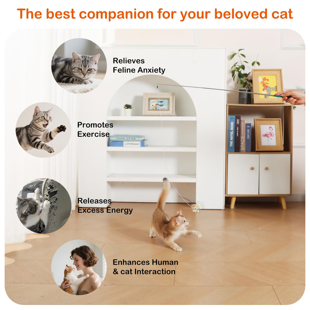 Catisfy Cat Wand Toy ships in gift-ready packaging for easy gifting