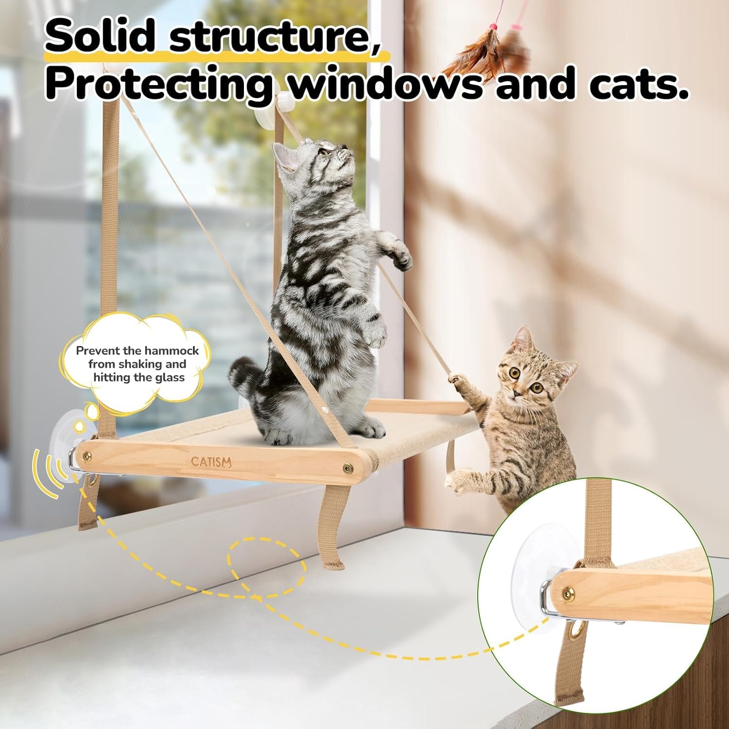 CATISM dimensions provide ample space for lounging without crowding on the window.