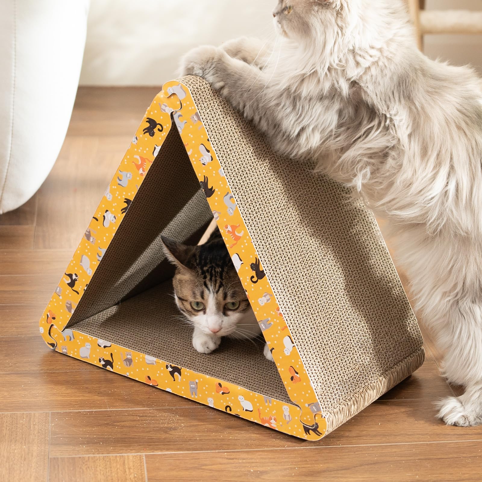 CATISM easy-storage-assembly enables quick disassembly for space saving.