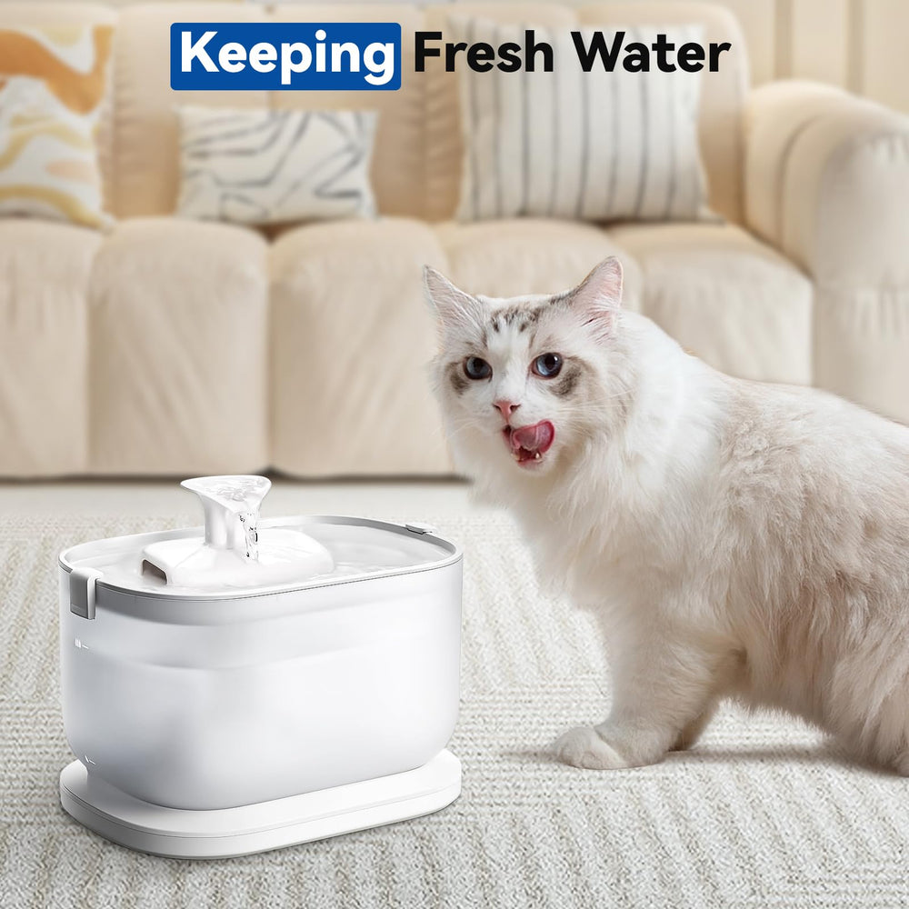 CATOL sealed packaging keeps filters fresh and ready to use.