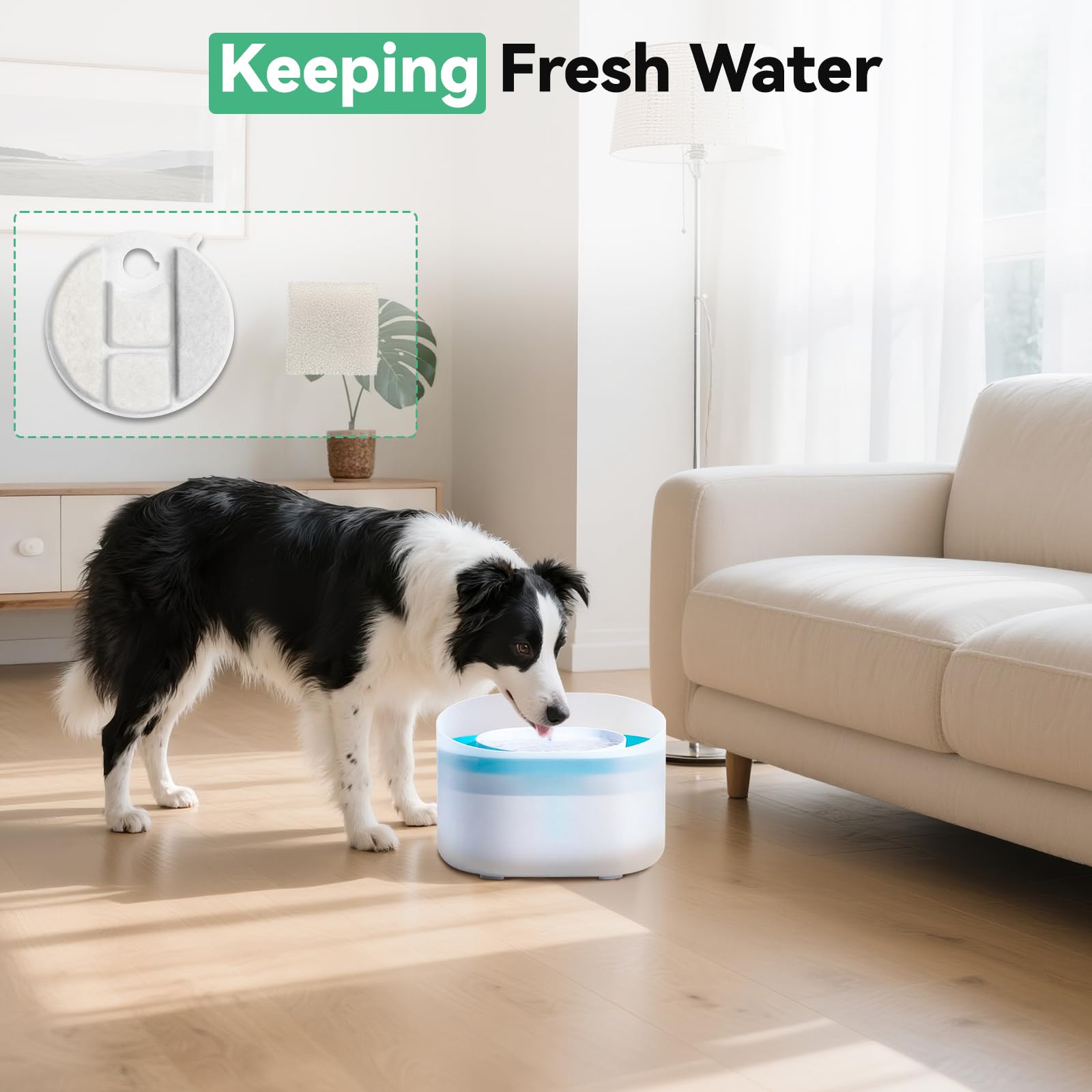 CATOL soak-rinse prevents carbon dust in water for better drinking.