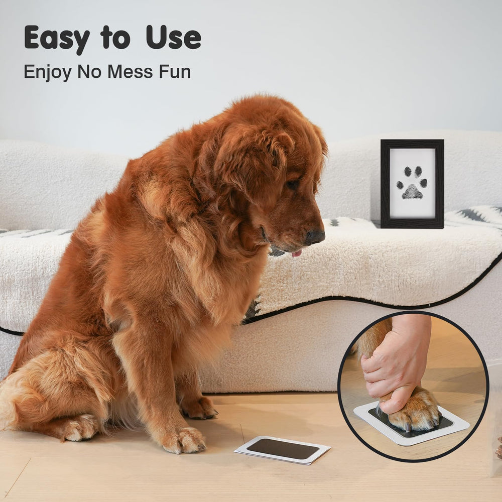 Catose inkless paw print kit dog paw print ready for crisp, clean keepsakes.